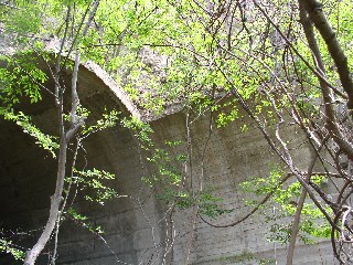 清六新道