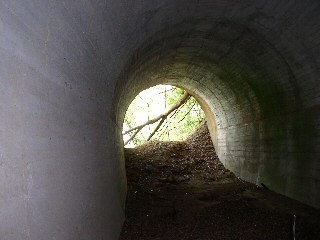 清六新道
