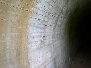 清六新道
