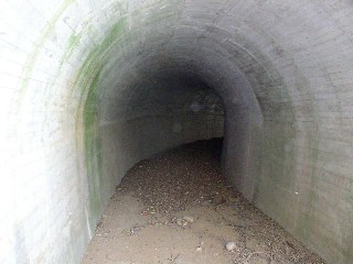 清六新道